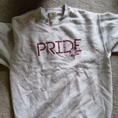 Lee PRIDE トレーナー・スウェット グレーヴァイキング