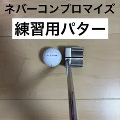 【希少】ネバーコンプロマイズ トレーニングパター ＳＴＵＢＢＹ 2026年最新】stubby パターの人気アイテム - メルカリ