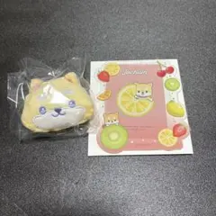 JOCHUM ジェオチャム まめちぃ 硬質カードケース ブローチ 2点セット