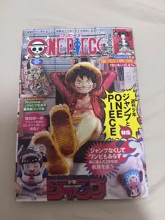 希少高騰初版ONE PIECE マガジン Vol.20 付録カードシュリンク付き