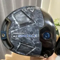 パラダイムドライバー