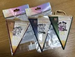 ディズニーランド　40周年　ガーランド