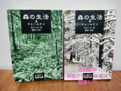 Item thumbnail for item d20ed7ff-8d8e-4fad-b79c-5f139b9edc1c