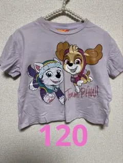 パウ・パトロール Tシャツ