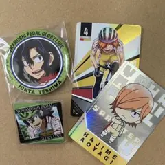 弱虫ペダル　手嶋純太　青八木一　T2 セリア