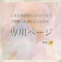 専用ページ