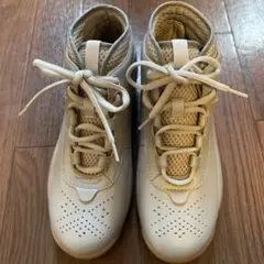 Item thumbnail for item 2209fa0d-b16d-4480-9af4-28c99acf3dcb