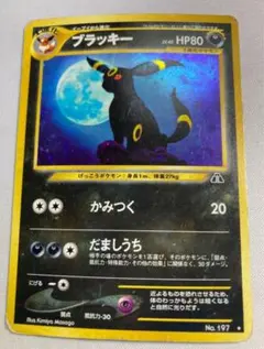 2026年最新】大玉ホロの人気アイテム - メルカリ