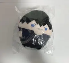 2025年最新】影山飛雄 ふわコロりんの人気アイテム - メルカリ