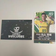 Item thumbnail for item f47d404a-5b78-4167-9364-599e21be4a52