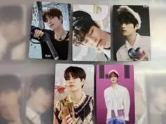 【即購入可◎】straykids maxident トレカセット  スンミン