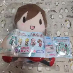 セガラッキーくじ　ピアプロ　ふわぷち　Ｂ賞　MEIKO　Ｅ賞ミク