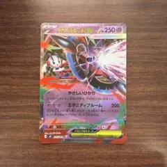 メガフラエッテEX ポケモンカード