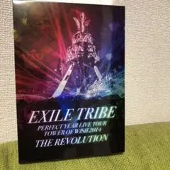 EXILE TRIBE/EXILE TRIBE PERFECT YEAR LI…