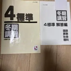 2025年最新】日能研 4年 テキストの人気アイテム - メルカリ