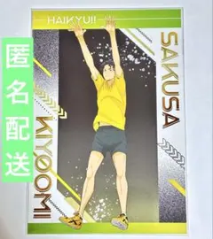 ハイキュー アニメイト 擬似ユース 特典 ポストカード 佐久早