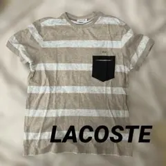 LACOSTE 條紋 T 恤 尺寸 4