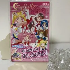 セーラームーン★2015年★太陽系戦士★スケジュール帳★20周年記念限定品