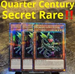 遊戯王 泰亜版 AES型番 捕食植物オフリス・スコーピオ 3枚セット