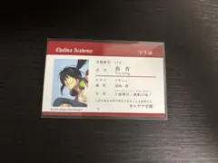 FGO フェス　入場特典　IDカード