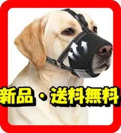 Item thumbnail for item c157f8ab-a427-4359-8f19-962a2233a468