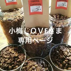 小梅ＬＯＶEさま専用ページ