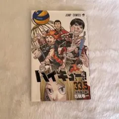 映画 ハイキュー ゴミ捨て場の決戦 入場特典 第一弾 33.5