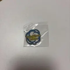 ハイキュー　スクールアイコンピンズ