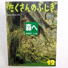 たくさんのふしぎ 1993年12月号（第105号）