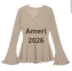 SHEER FRILL V NECK KNIT TOP Ameri
