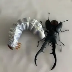 生き物大図鑑まとめ売り