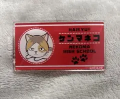 ハイキュー!! 孤爪研磨 名札クリップ