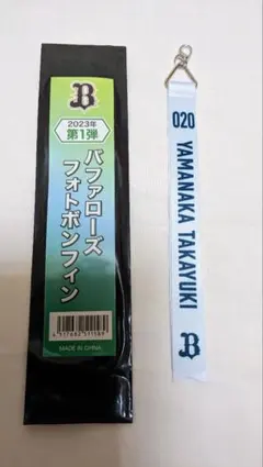 Item thumbnail for item 59118a93-b275-4510-84a6-1f8da34bd4c2