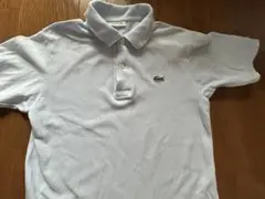 LACOSTE ライトブルーポロシャツ サイズ2