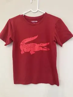 ラコステ/半袖Tシャツ140cmのサムネイル