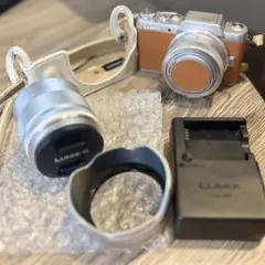 2026年最新】lumix gf7 ケースの人気アイテム - メルカリ