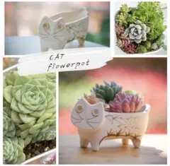 ガーデン雑貨 ガーデンポット 園芸 置物 猫 オブジェ ガーデニング 陶器