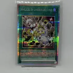 2026年最新】MALICE in undergroundの人気アイテム - メルカリ