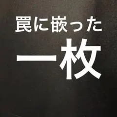 一枚販売です