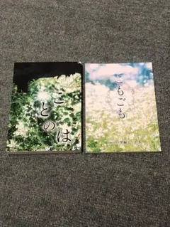 Item thumbnail for item 4ec8dd17-c7a5-4abd-a4d3-8bd013041d70