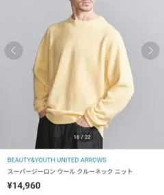 BEAUTY&YOUTH スーパージーロン ウール クルーネックニット