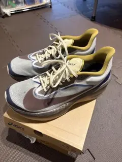 NIKE ズームフライ 6 27センチ