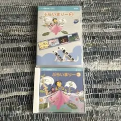 Item thumbnail for item e5666b56-1f3b-42d3-a54e-28f149c863bd