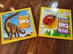 Kids First Big Book Dinosaurs, Bugs