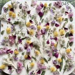 No,045 特小小花ミックス　ドライフラワー花材