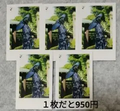 いれいす　if　いふ　チェキ風トレカ　5枚セット