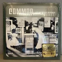 新品COMMON LIKE WATER FOR CHOCOLATE2枚組レコード Amazon.co.jp: Like Water For Chocolate [2lp] [Analog