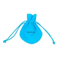 Tiffany & Co. ティファニー ショッパー 紙袋とジュエリー袋