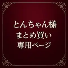 とんちゃん様 リクエスト 10点 まとめ商品
