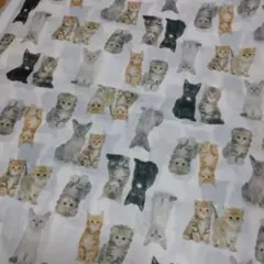 ばばちゃん様 リクエスト 2点 まとめ商品